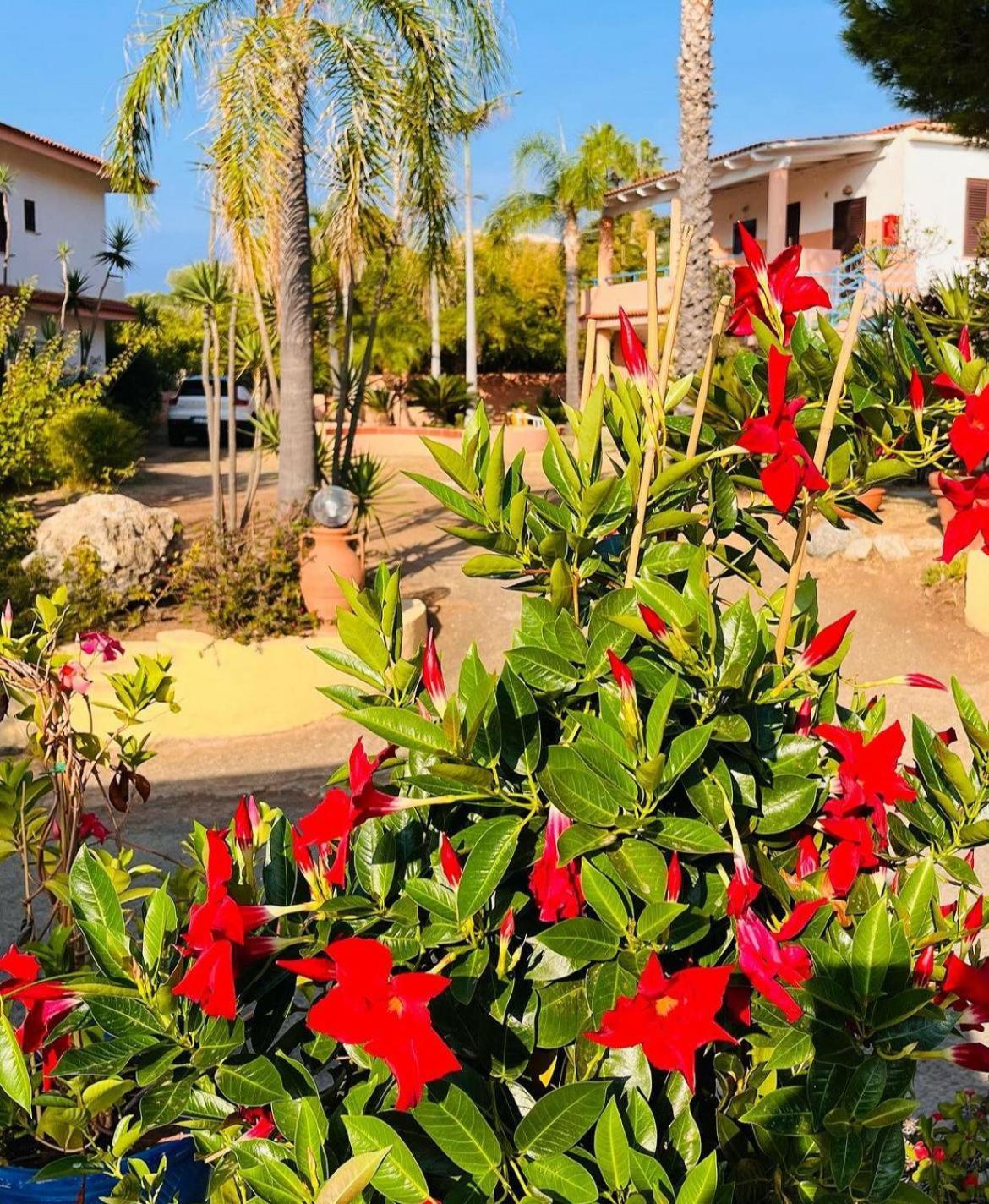 Hotel Grotticelle Capo Vaticano Εξωτερικό φωτογραφία