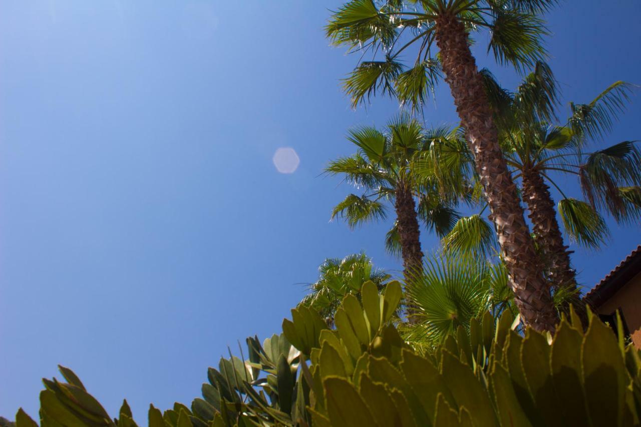 Hotel Grotticelle Capo Vaticano Εξωτερικό φωτογραφία